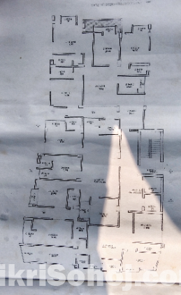 Flat/ফ্ল্যাট